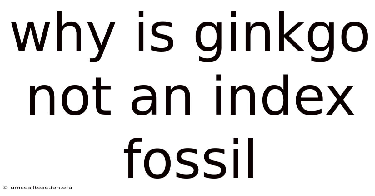 Why Is Ginkgo Not An Index Fossil