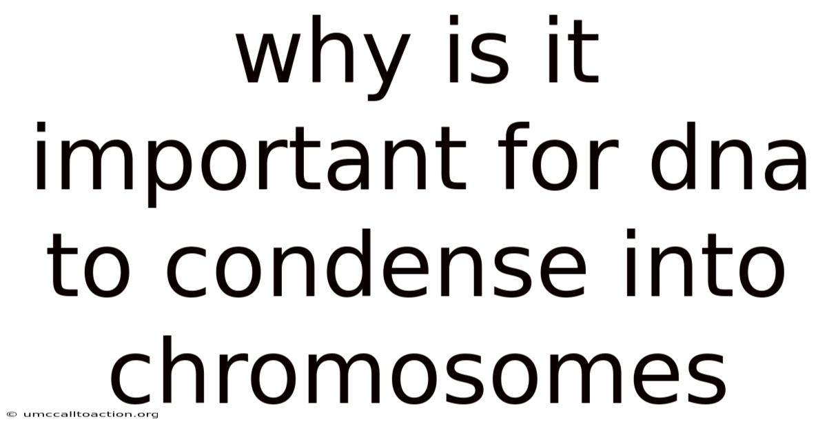 Why Is It Important For Dna To Condense Into Chromosomes