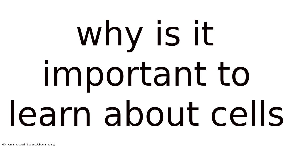 Why Is It Important To Learn About Cells
