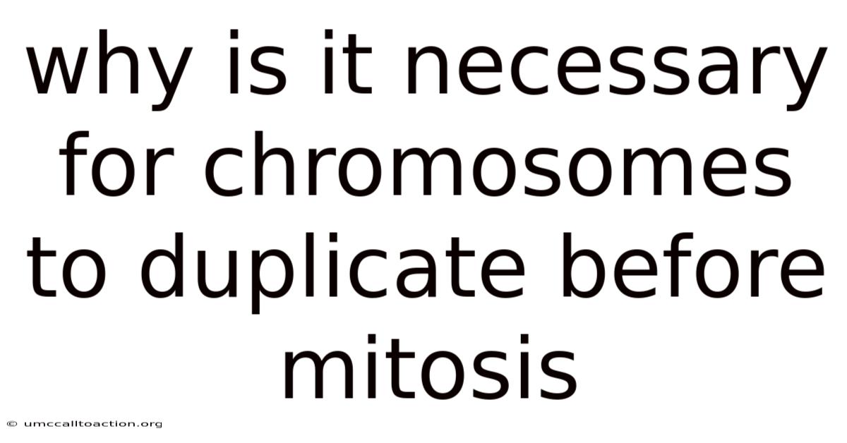 Why Is It Necessary For Chromosomes To Duplicate Before Mitosis