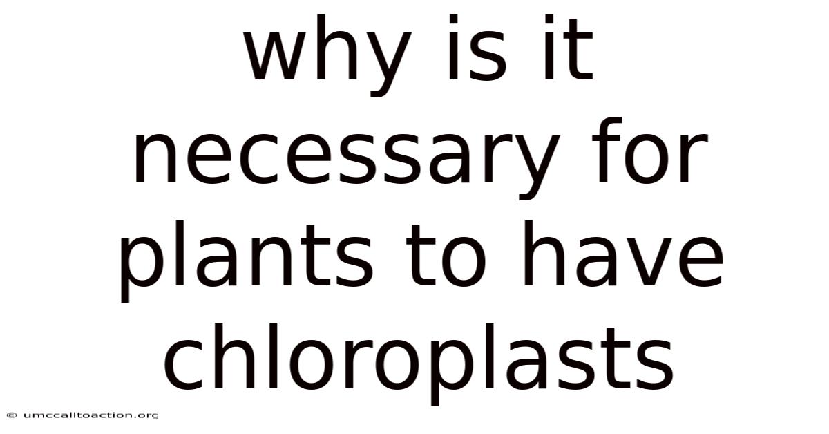 Why Is It Necessary For Plants To Have Chloroplasts