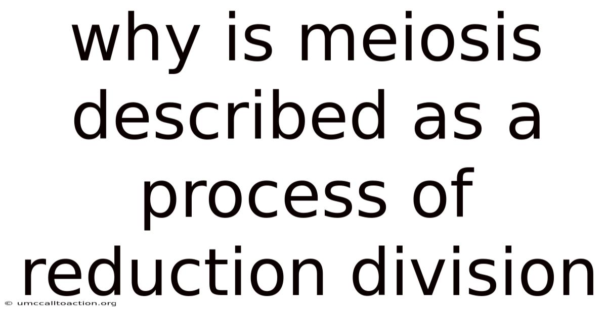 Why Is Meiosis Described As A Process Of Reduction Division