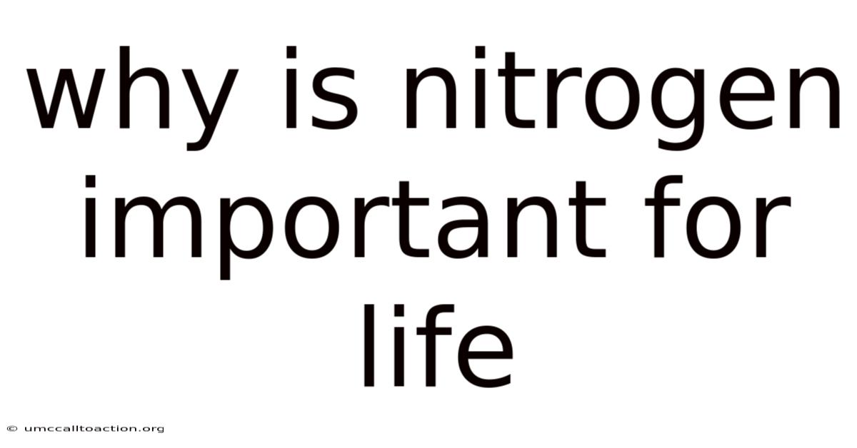 Why Is Nitrogen Important For Life
