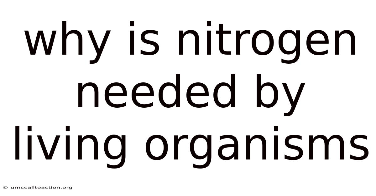 Why Is Nitrogen Needed By Living Organisms