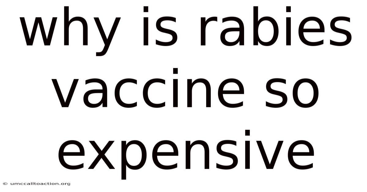 Why Is Rabies Vaccine So Expensive