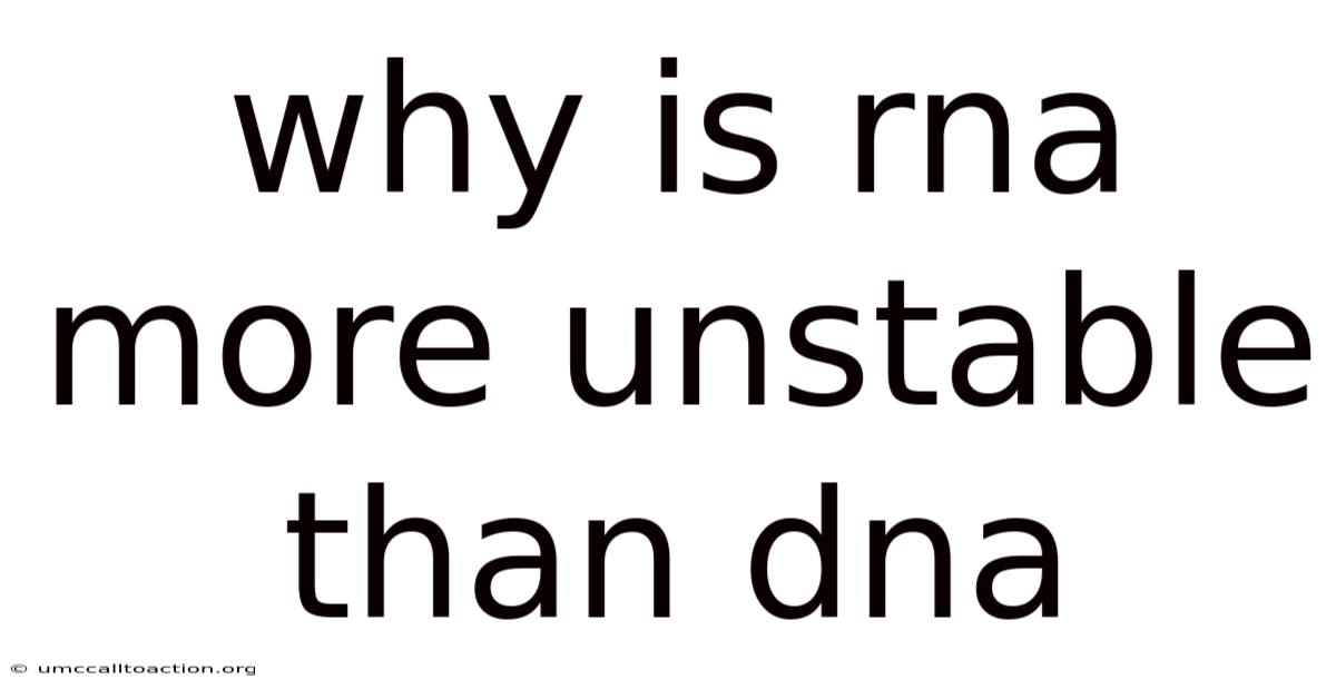 Why Is Rna More Unstable Than Dna