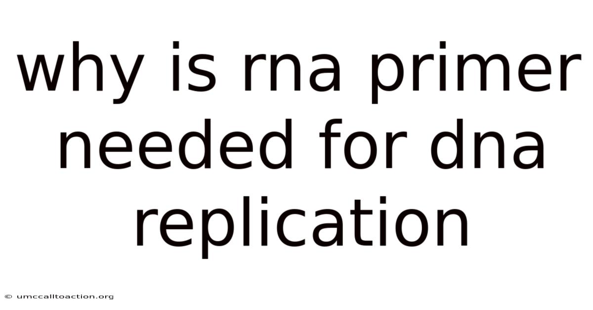 Why Is Rna Primer Needed For Dna Replication