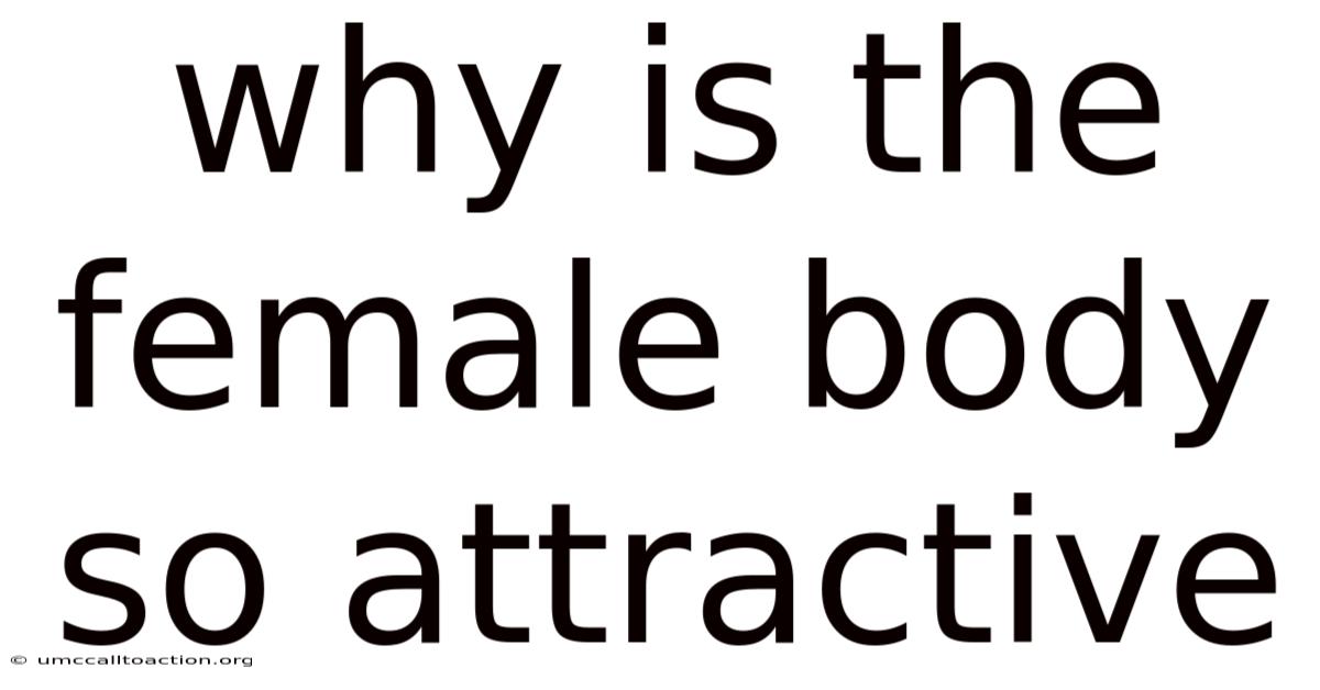 Why Is The Female Body So Attractive
