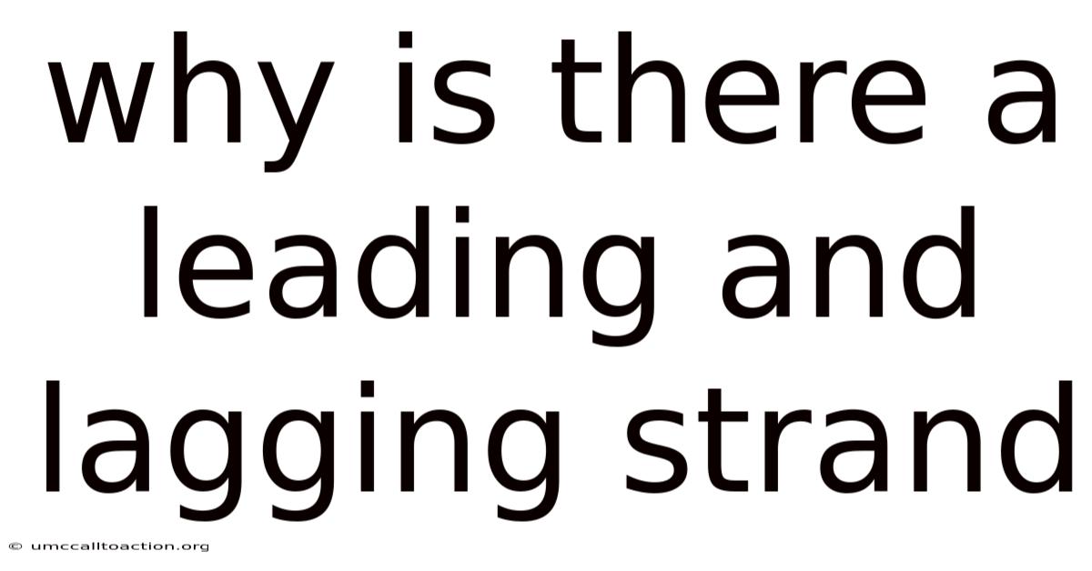 Why Is There A Leading And Lagging Strand