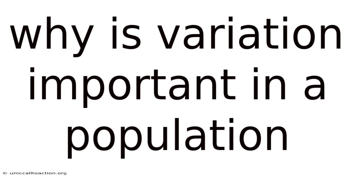 Why Is Variation Important In A Population