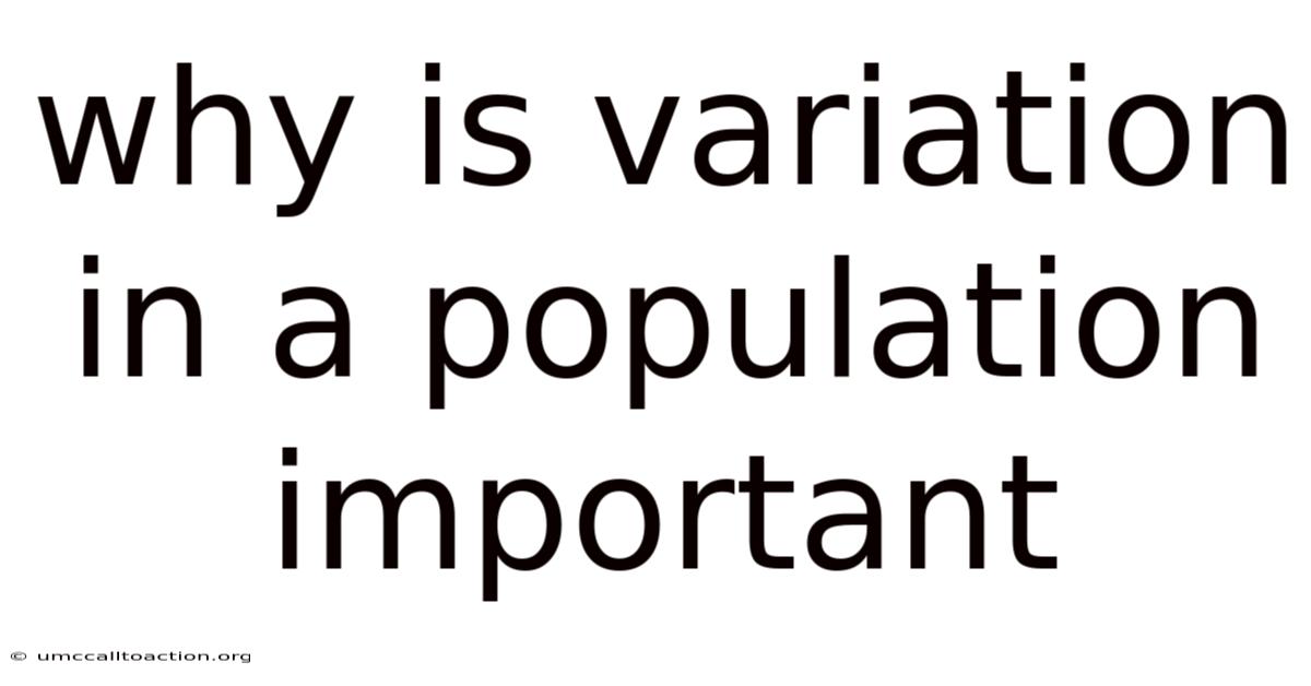 Why Is Variation In A Population Important
