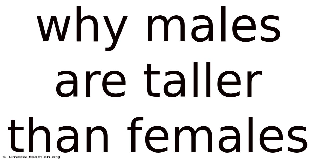 Why Males Are Taller Than Females