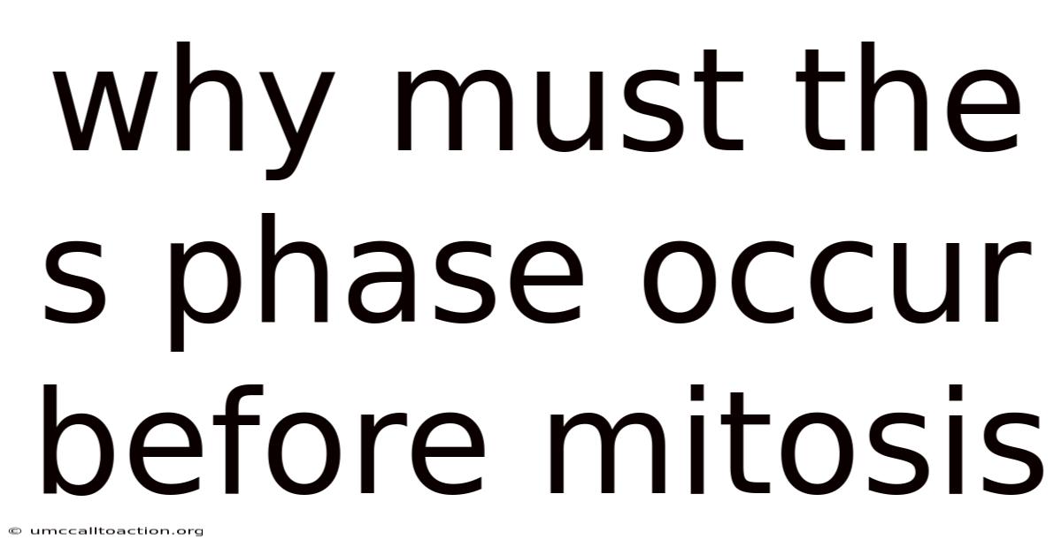 Why Must The S Phase Occur Before Mitosis