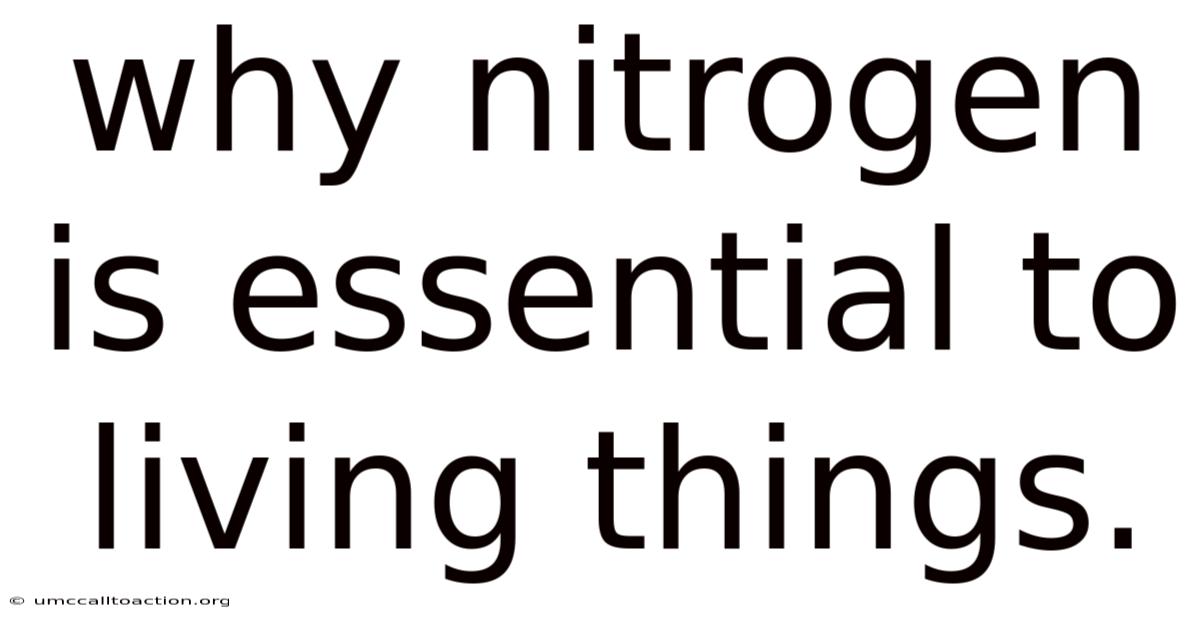 Why Nitrogen Is Essential To Living Things.