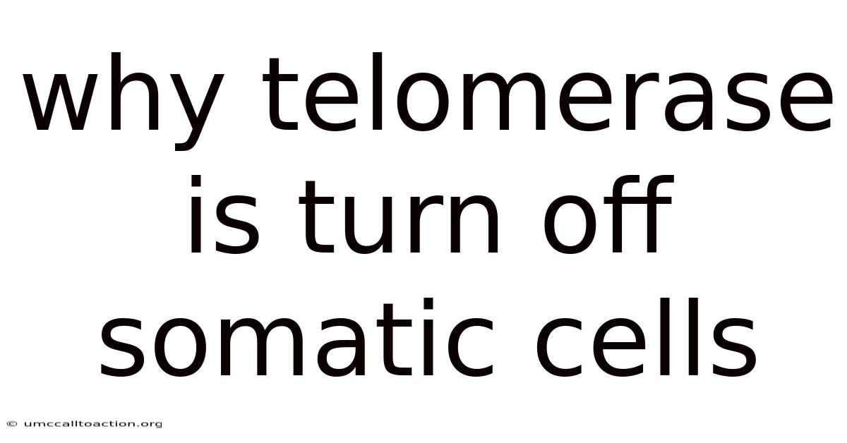 Why Telomerase Is Turn Off Somatic Cells