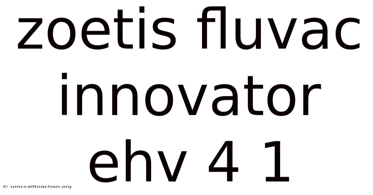 Zoetis Fluvac Innovator Ehv 4 1